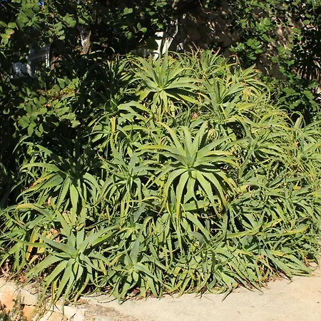 度假居 Seaside House Cove Rogacic, - 8889