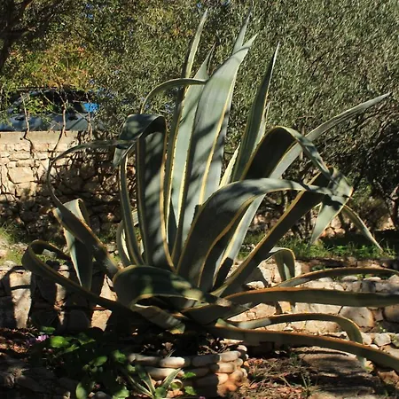 Seaside House Cove Rogacic, - 8889 度假居